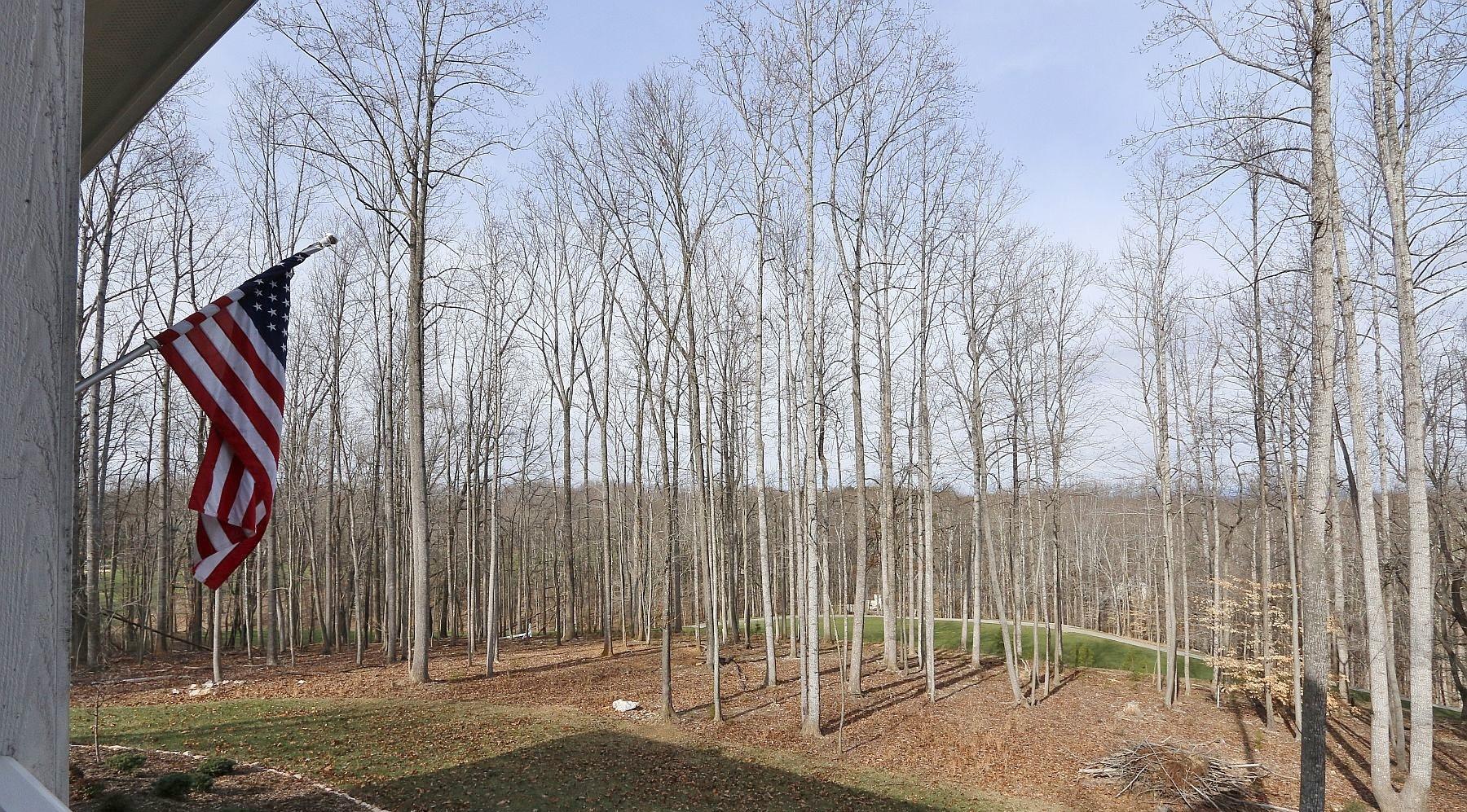 1177 Windlass Road Moneta, VA 24121 - Photo 74 of 91 Back Yard Views (2)