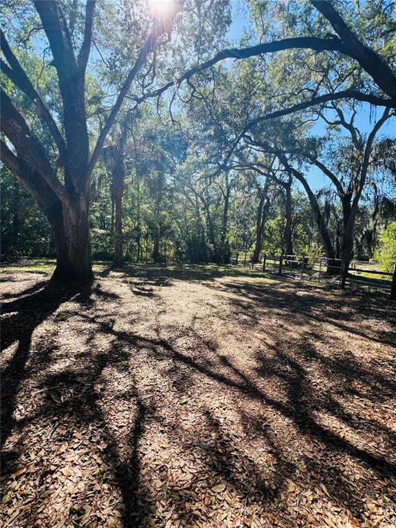 4420 Bailey Road Mulberry, FL 33860 - Photo 25 of 28 Gallery Image 25