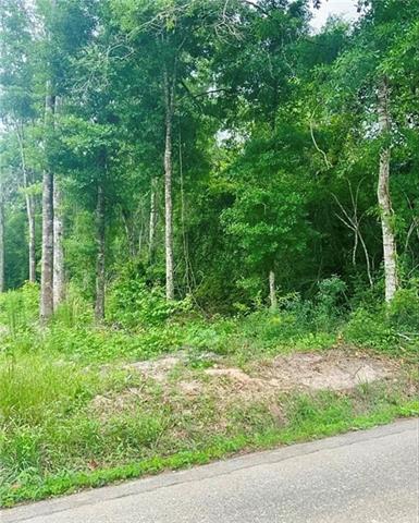 0 Keys Road Covington, LA 70433 - Photo 1 of 3