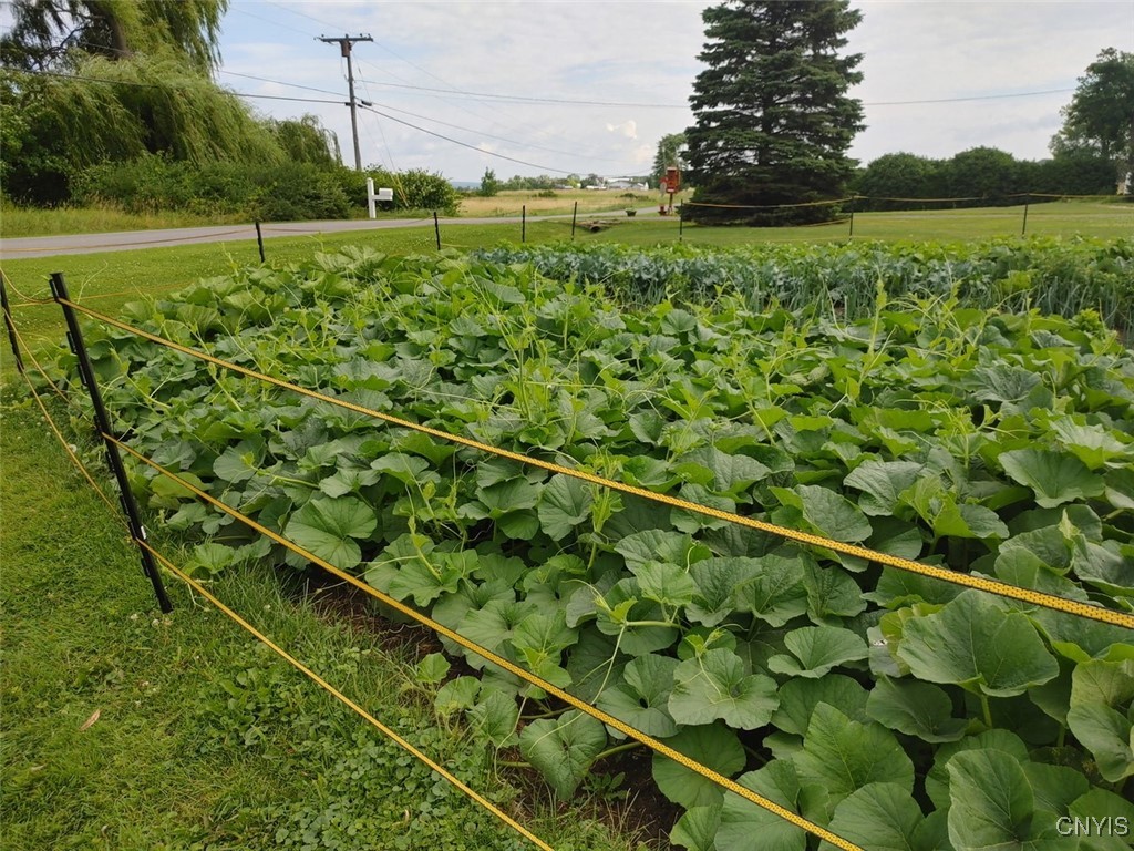 208 River Road Hammond, NY 13646 - Photo 44 of 46