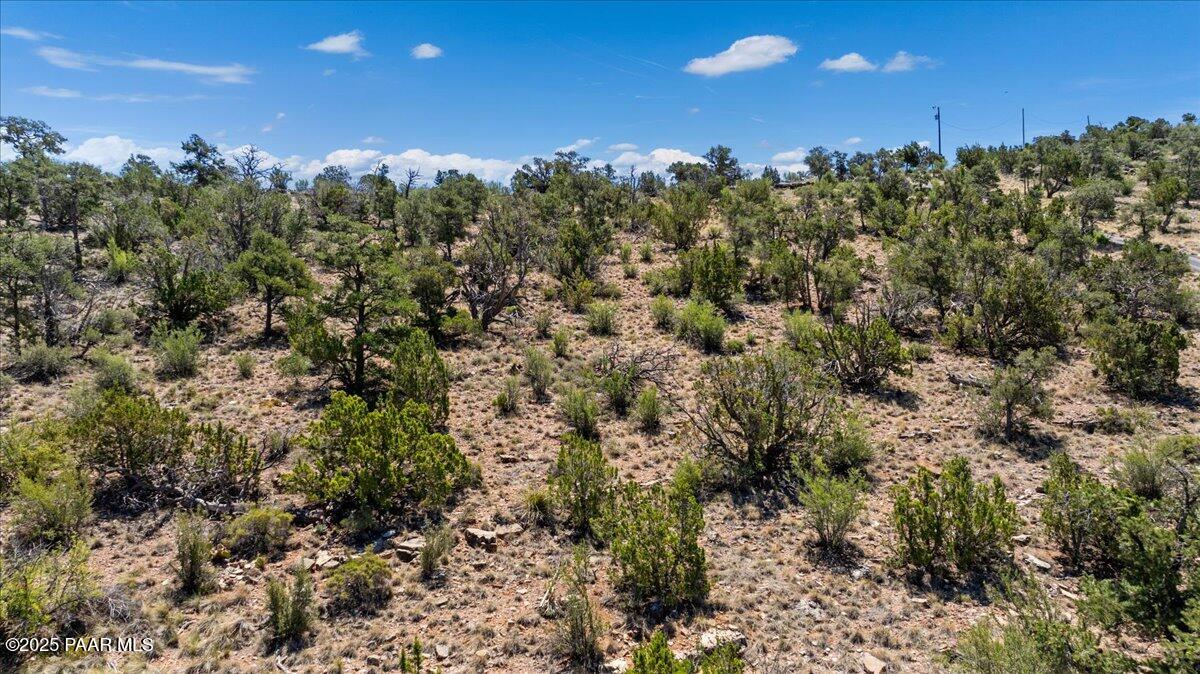 4725 West Hidden Canyon Road Chino Valley, AZ 86323 - Photo 7 of 13 a view of a forest with a houses