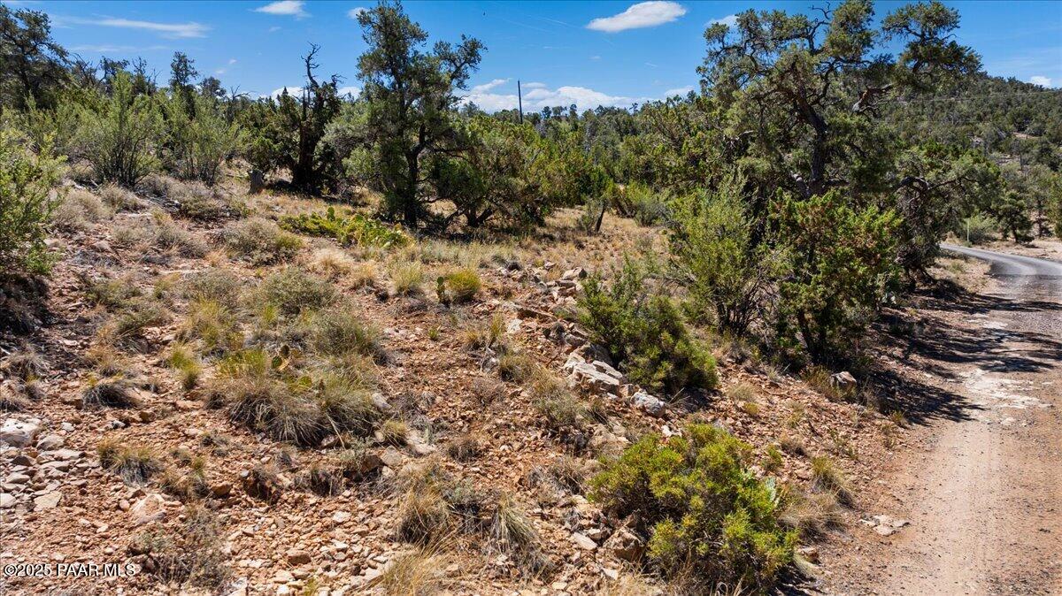 4725 West Hidden Canyon Road Chino Valley, AZ 86323 - Photo 8 of 13 a view of a forest with a tree in the background