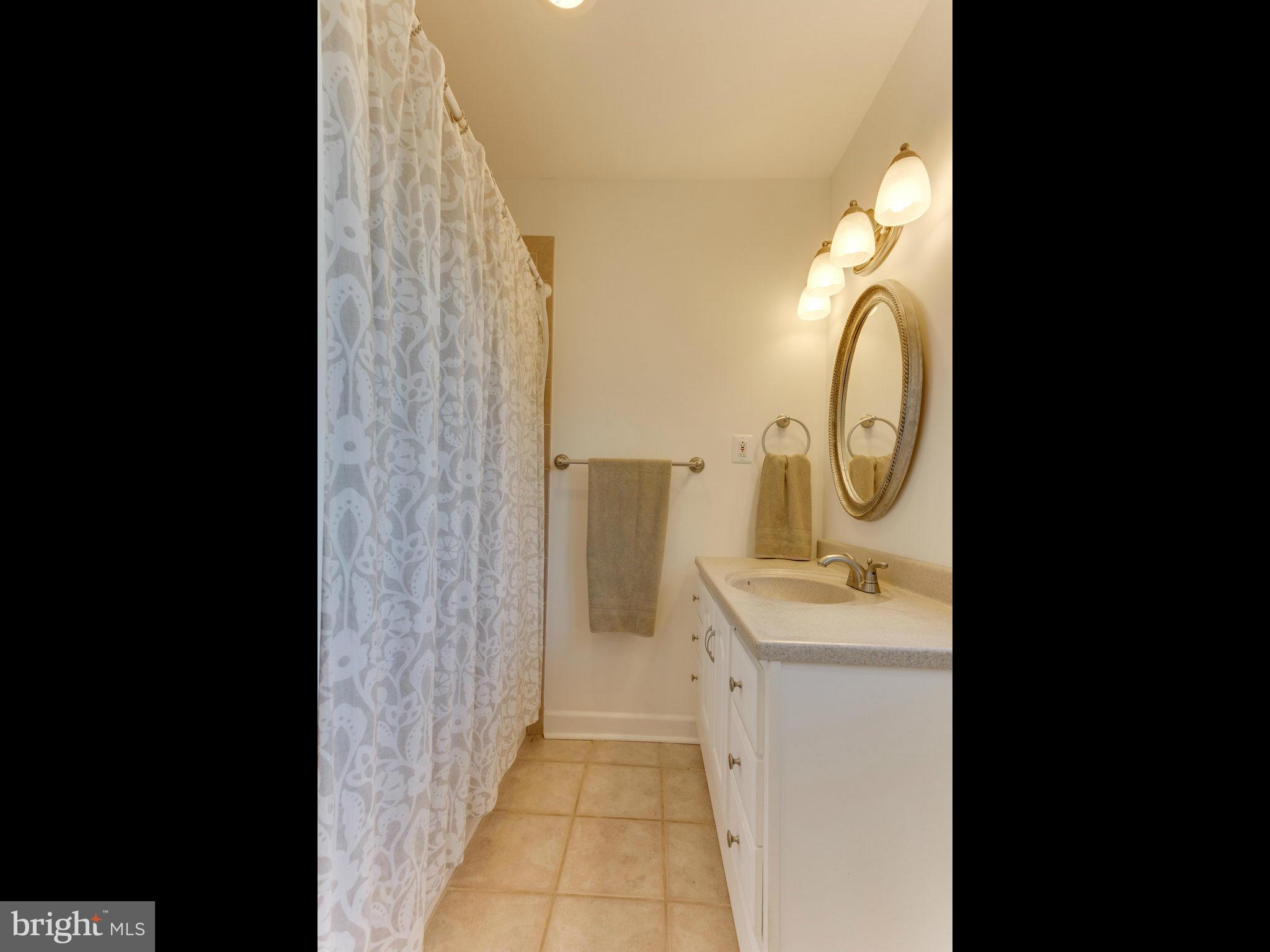 20473 Gleedsville Road Leesburg, VA 20175 - Photo 16 of 30 a bathroom with a sink and a mirror
