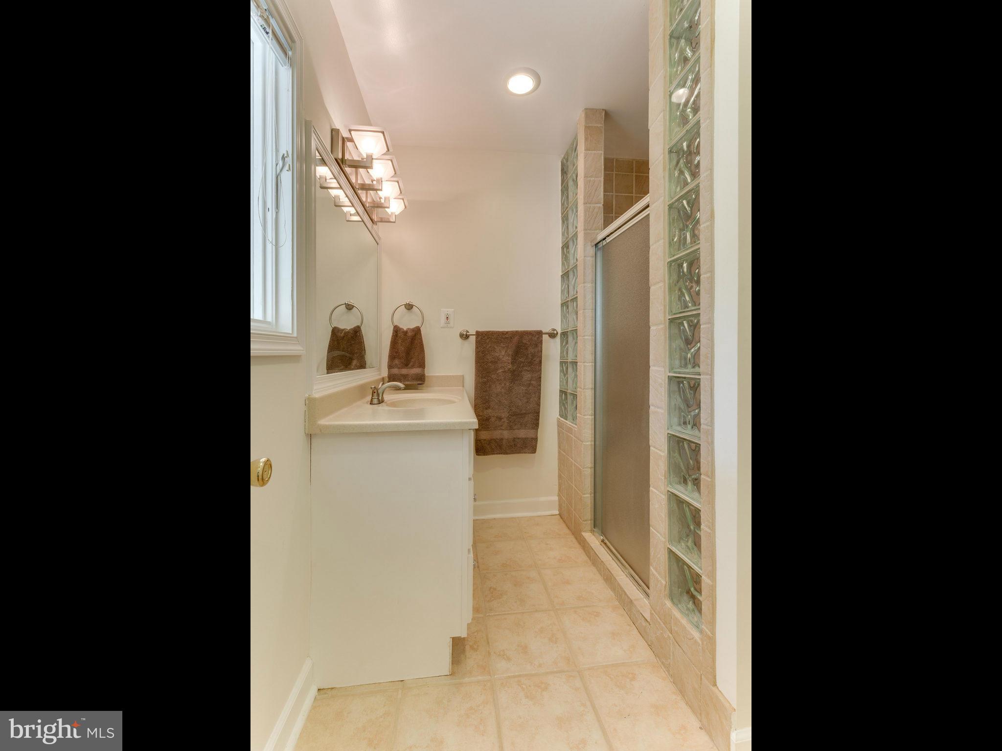 20473 Gleedsville Road Leesburg, VA 20175 - Photo 18 of 30 a bathroom with a sink a mirror and a shower