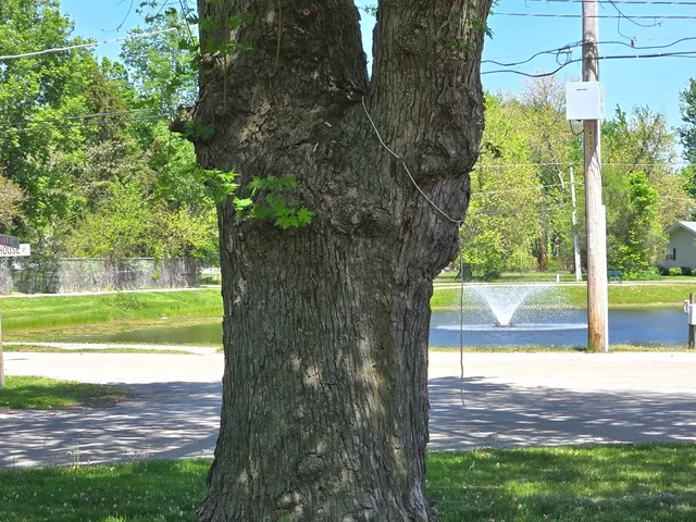 $192,000 | 106 Round House Street, Braidwood, IL 60408