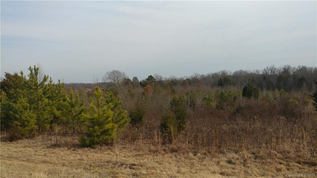 8475 County Line Road Mount Pleasant, NC 28124 - Photo 3 of 3 Gallery Image 3