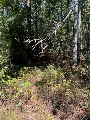 $283,000 | 0 Eddington Road, Marshall, TX 75670