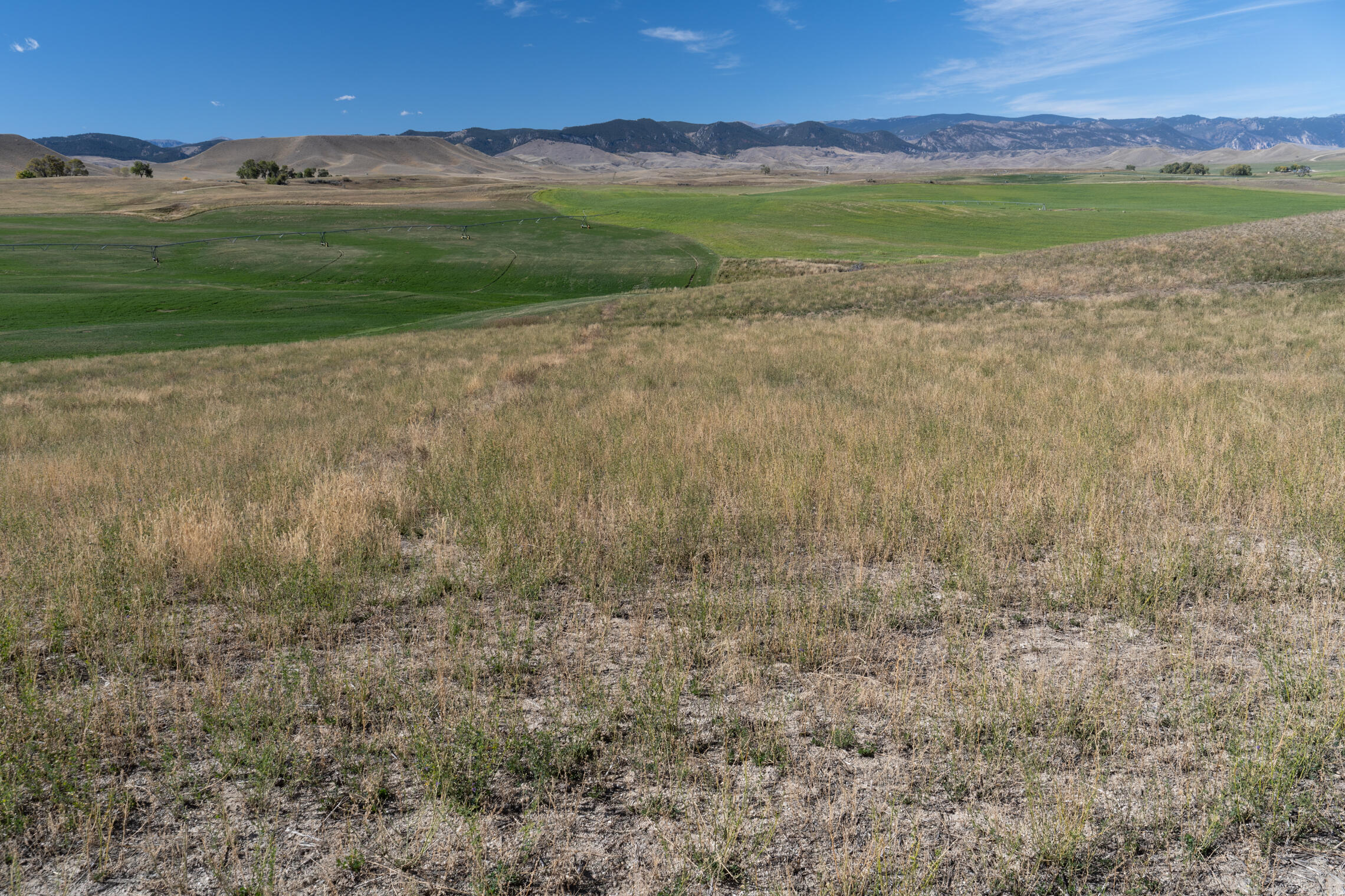 Hopkins Divide Loop Buffalo, WY 82834 - Photo 15 of 26 _DSC3959-HDR