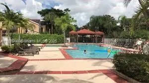 a view of a yard with plants and palm trees