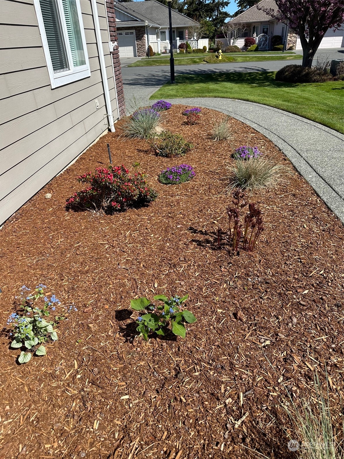 431 Blakely Boulevard Sequim, WA 98382 - Photo 32 of 34 a view of a backyard with a garden