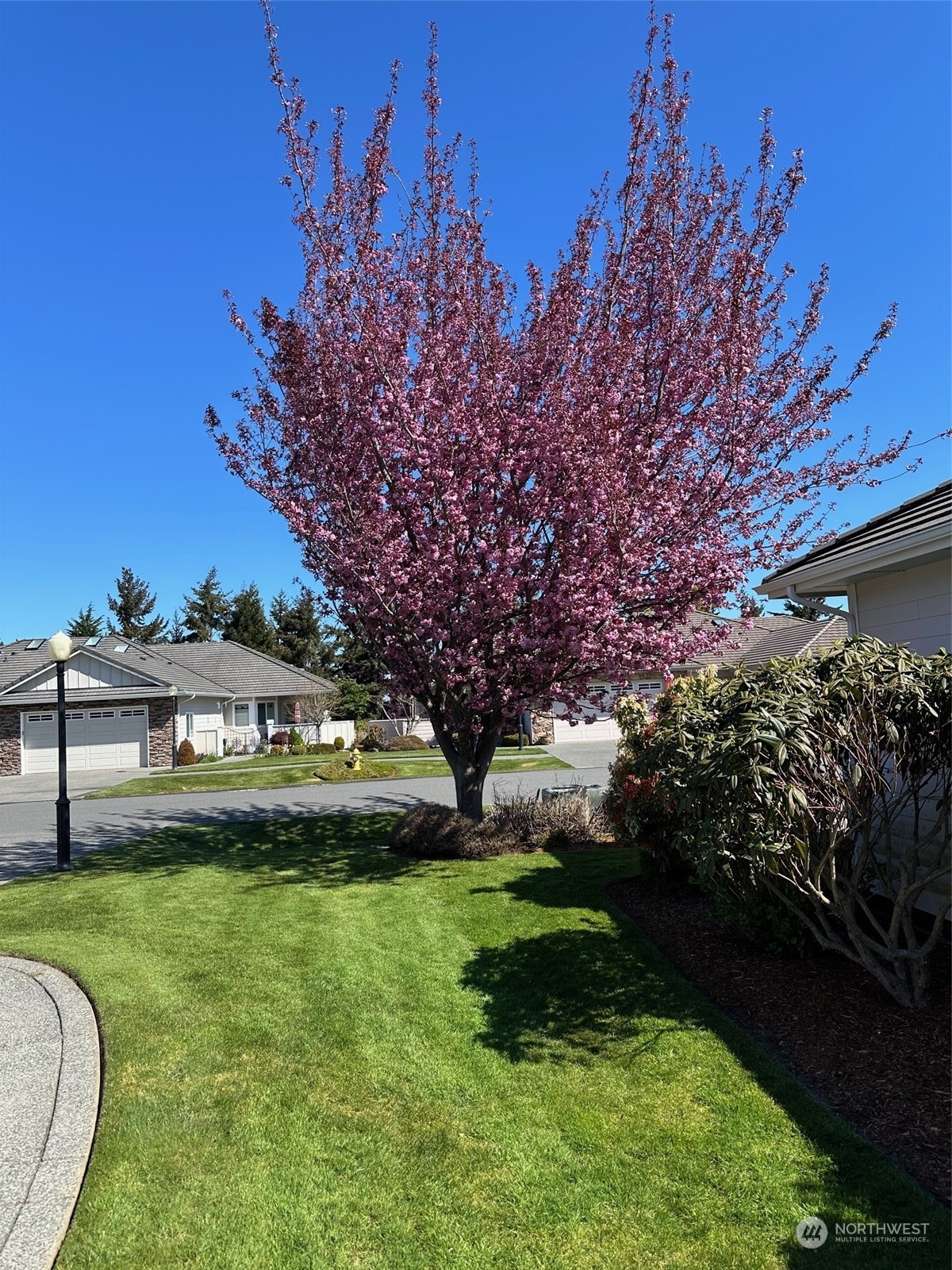 431 Blakely Boulevard Sequim, WA 98382 - Photo 33 of 34 a view of a house with a yard