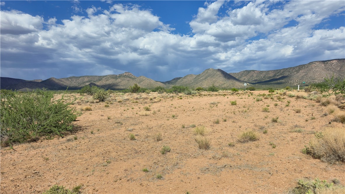 353-36-158 North Tyree Road Hackberry, AZ 86411 - Photo 13 of 19