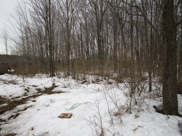17230 Moseley Road Thompson, OH 44086 - Photo 9 of 12