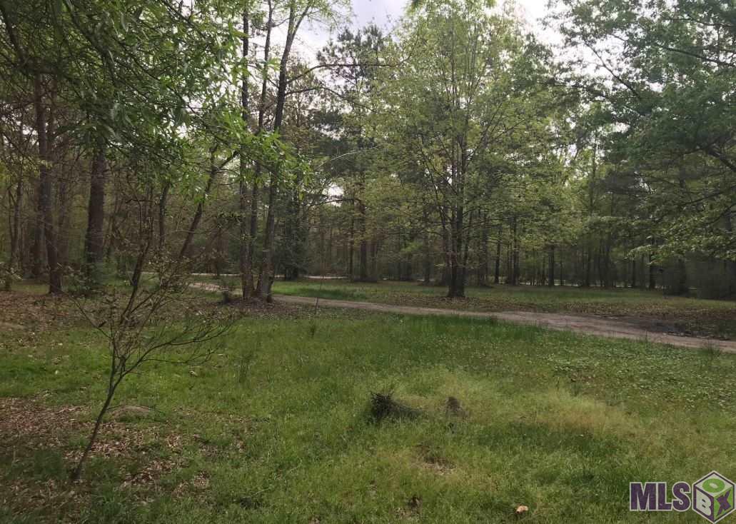 24907 Lobell Road Livingston, LA 70754 - Photo 1 of 11 Gallery Image 1