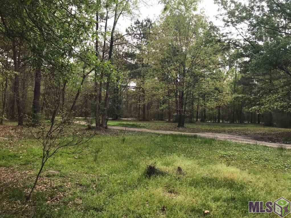 24907 Lobell Road Livingston, LA 70754 - Photo 3 of 11 Gallery Image 3