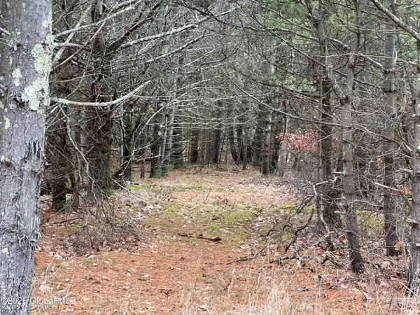 $89,000 | L18.12 Old Kings Road, Hannacroix, NY 12087