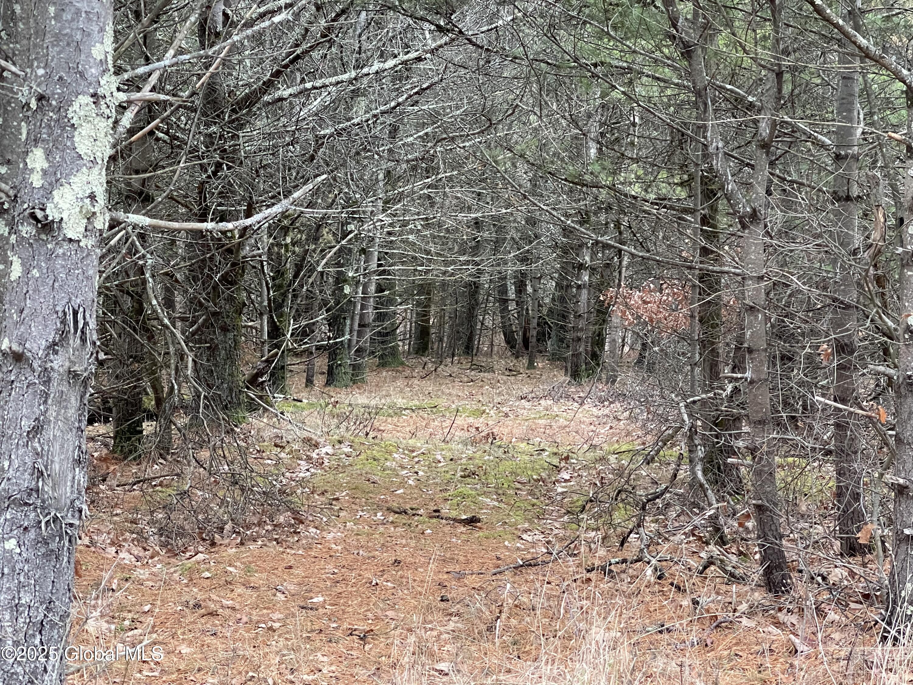 L18.12 Old Kings Road Hannacroix, NY 12087 - Photo 2 of 10 6145CD81-C86D-47D6-9CB0-333E0FD42BDB