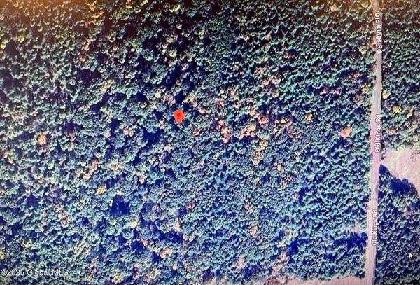 $89,000 | L18.12 Old Kings Road, Hannacroix, NY 12087