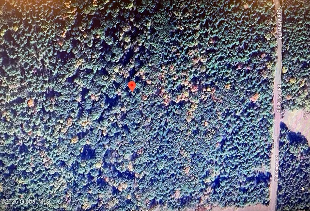 $89,000 | L18.12 Old Kings Road, Hannacroix, NY 12087