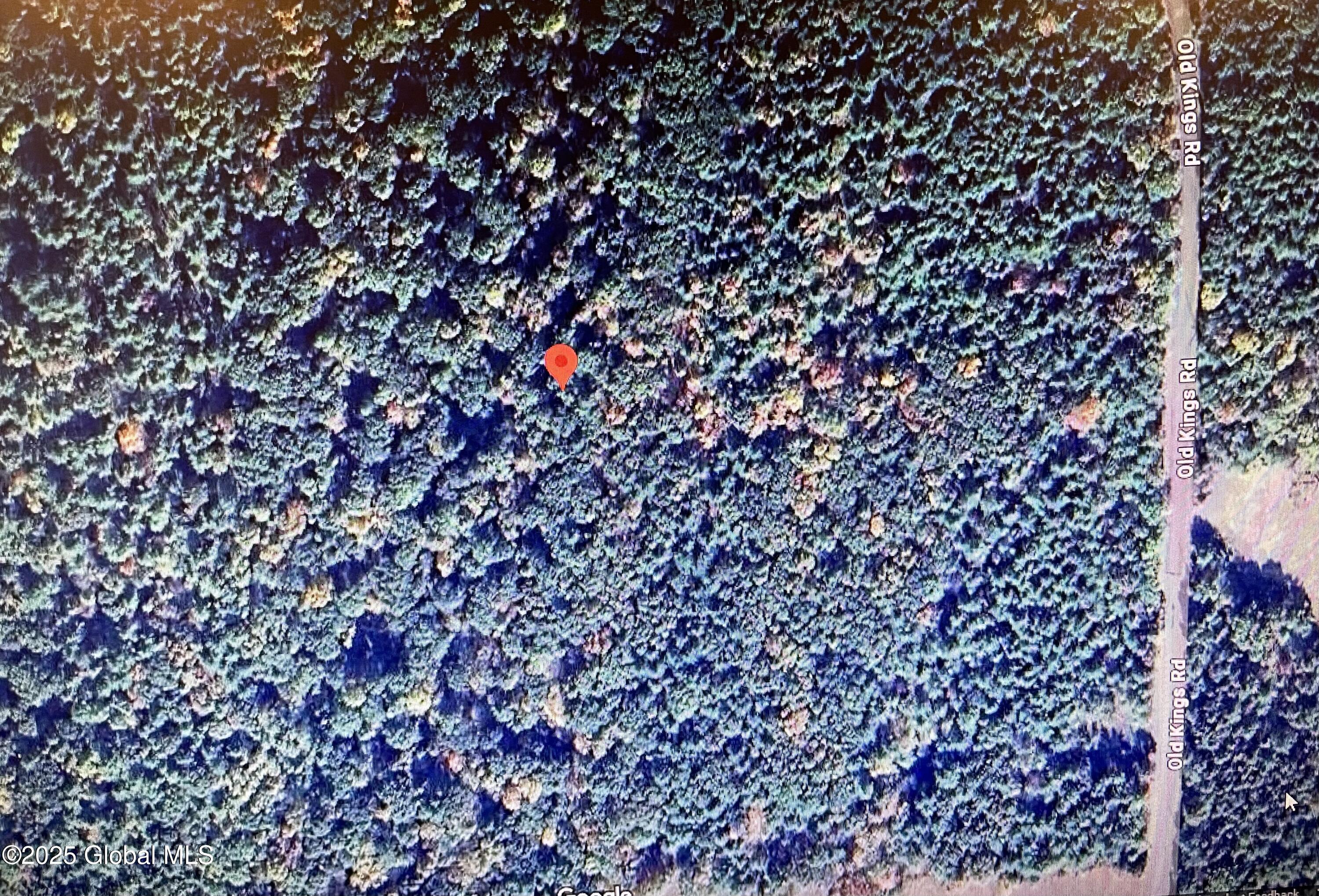 L18.12 Old Kings Road Hannacroix, NY 12087 - Photo 3 of 10 79732A1D-888B-4296-86BB-C689E145B36A