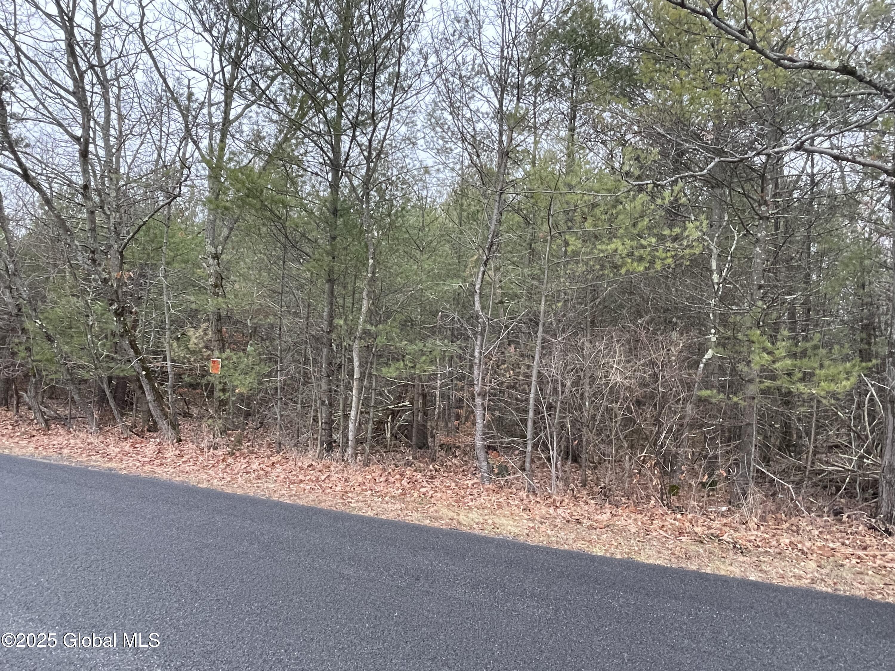 L18.12 Old Kings Road Hannacroix, NY 12087 - Photo 4 of 10 6AC8A346-CB6E-4297-B3CC-E27C1383A43C