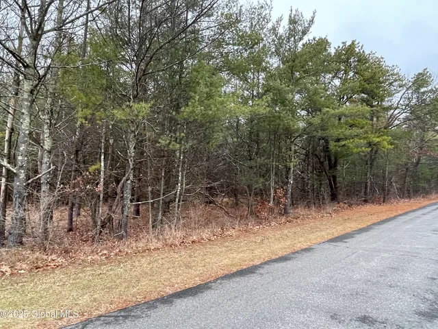 $89,000 | L18.12 Old Kings Road, Hannacroix, NY 12087