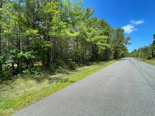 $89,000 | L18.12 Old Kings Road, Hannacroix, NY 12087