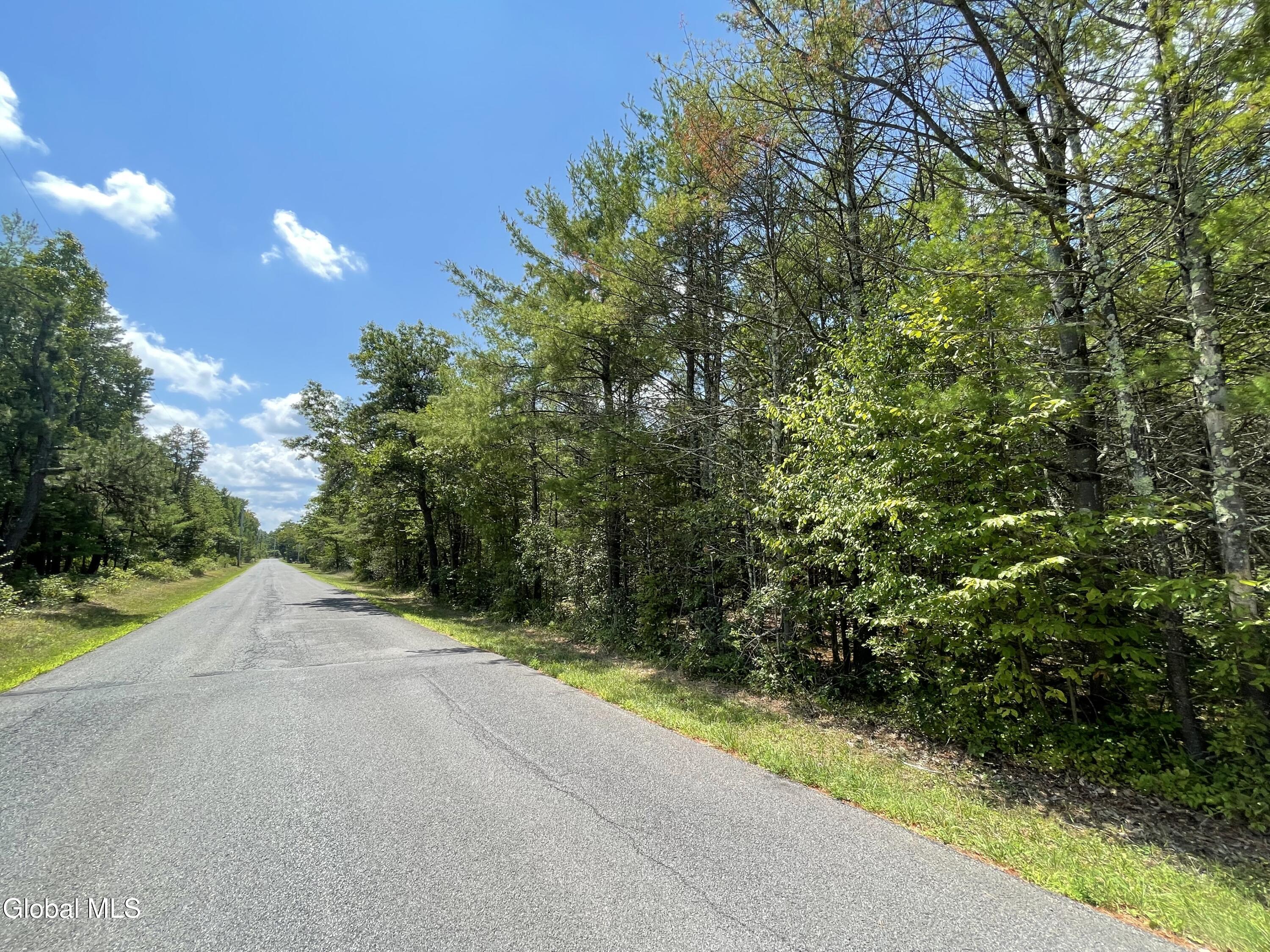 L18.12 Old Kings Road Hannacroix, NY 12087 - Photo 7 of 10 716442FA-50E0-4282-AFCC-40A4B0080C4B