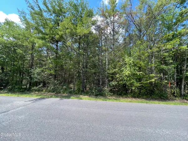 $89,000 | L18.12 Old Kings Road, Hannacroix, NY 12087