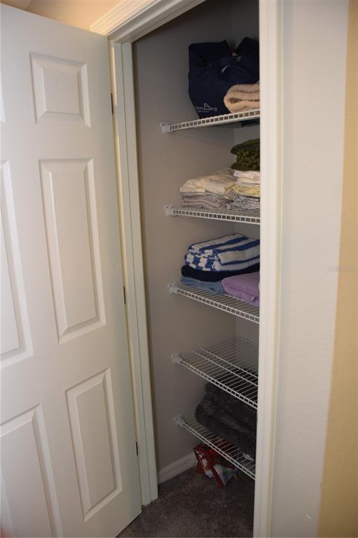 7043 Summer Holly Place Riverview, FL 33578 - Photo 19 of 23 Gallery Image 19