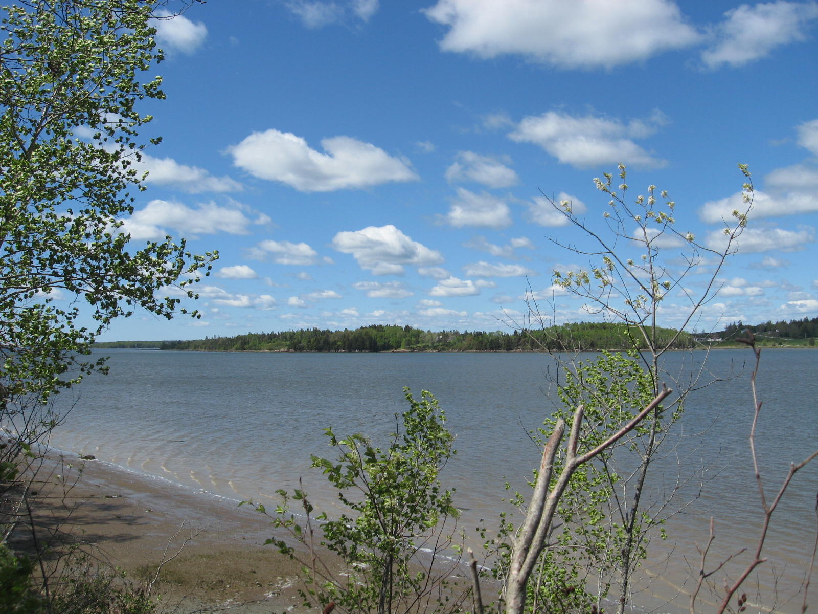 15 East Side Road Addison, ME 04606 - Photo 2 of 5 IMG_0001