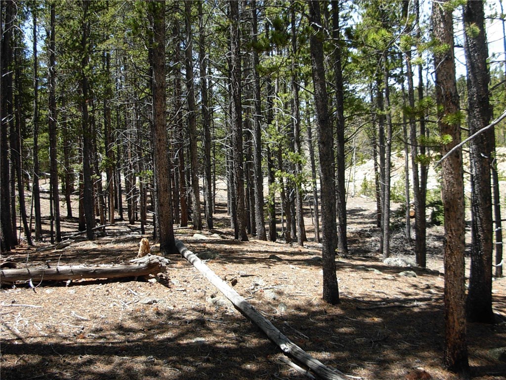 900 Venture Road Fairplay, CO 80440 - Photo 16 of 25 Gallery Image 16