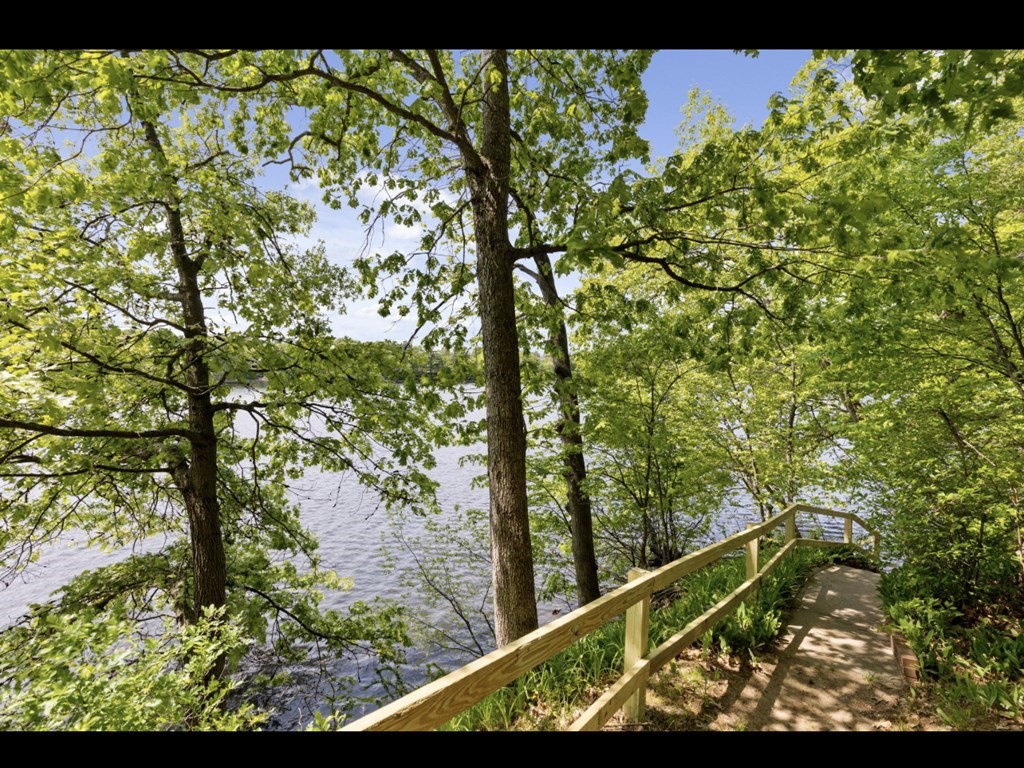 90 Evergreen Road Natick, MA 01760 - Photo 9 of 22 a view of mountain with a tree