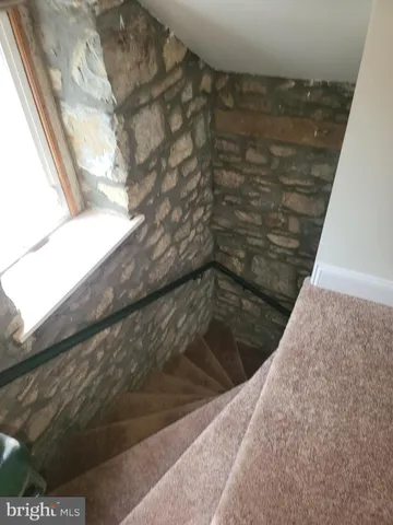 a view of a big yard with large trees