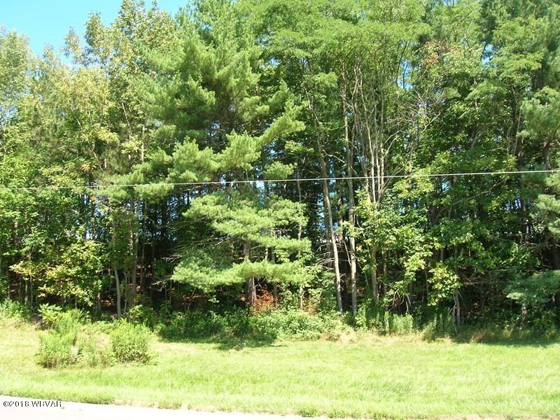 Lot 7 660th Route Wellsboro, PA 16901 - Photo 2 of 7 125795-01