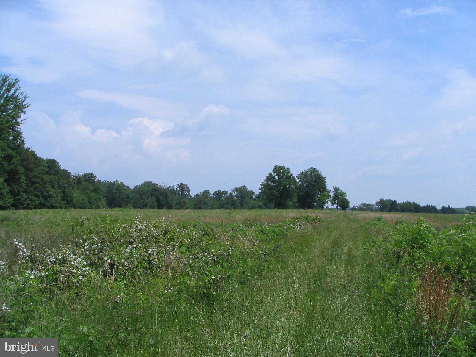 Richie Road Midland, VA 22728 - Photo 3 of 5 View