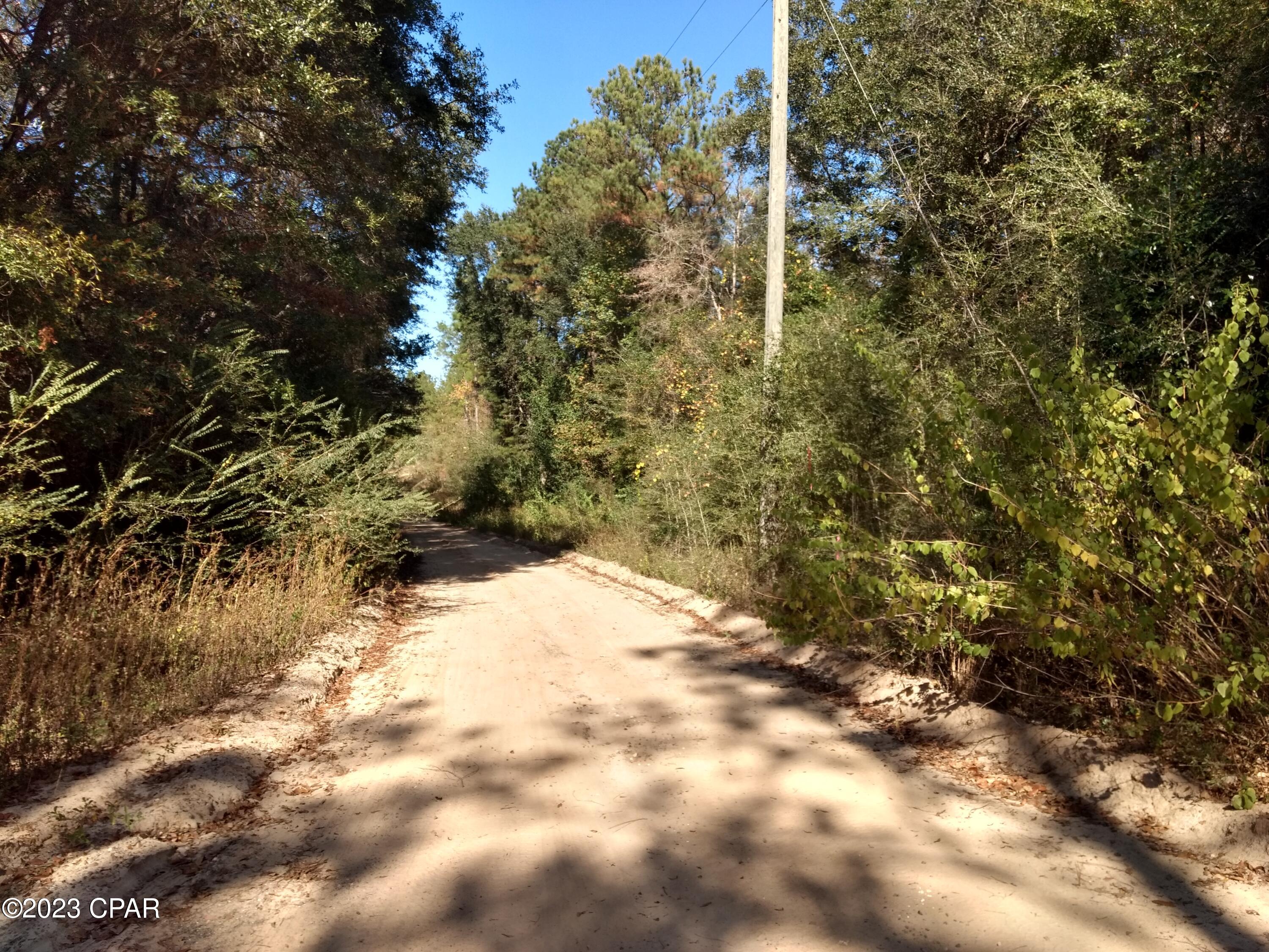 0 Little John Road Bonifay, FL 32425 - Photo 2 of 5