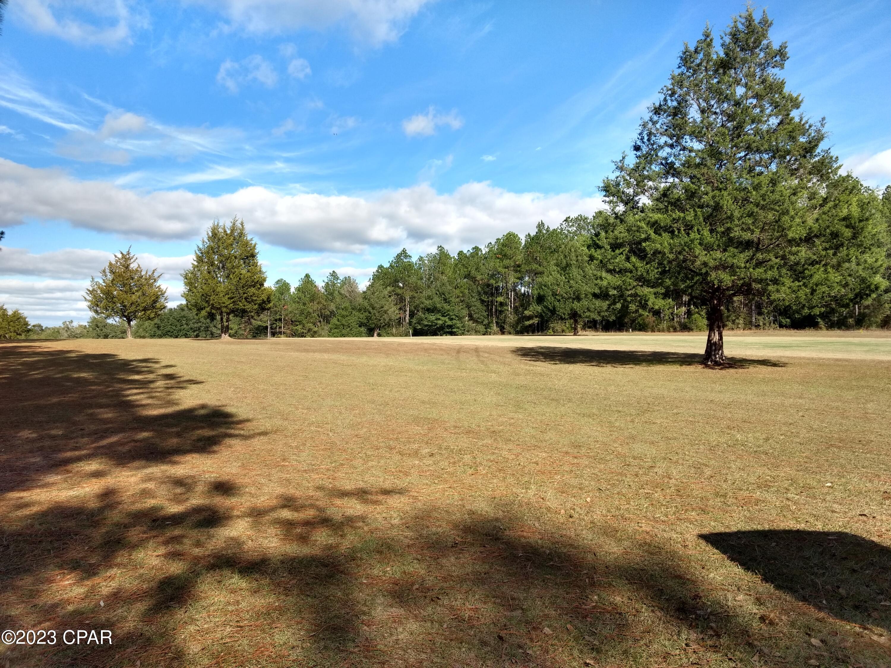 0 Little John Road Bonifay, FL 32425 - Photo 4 of 5