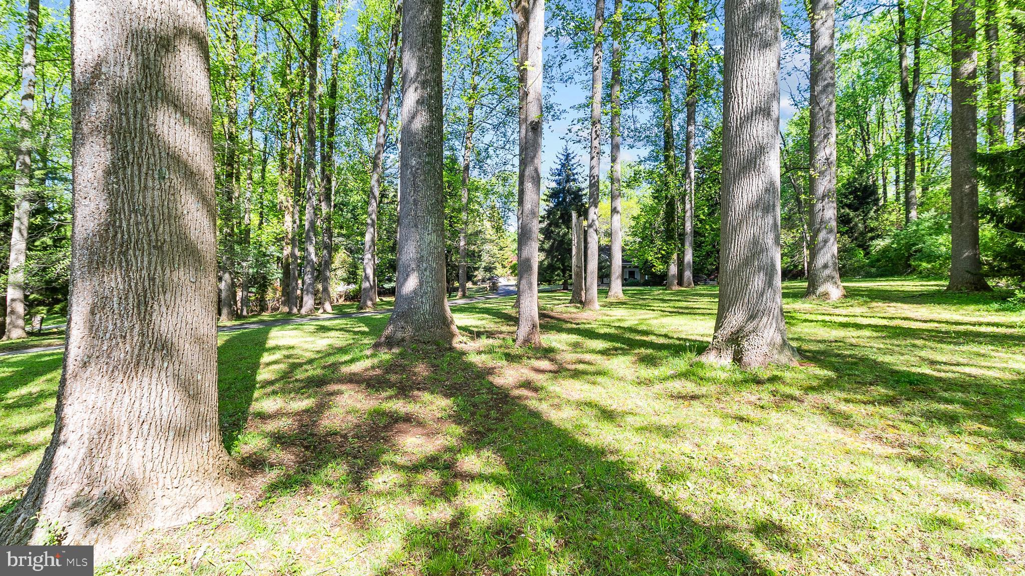 501 Webb Road Chadds Ford, PA 19317 - Photo 15 of 16 Gallery Image 15