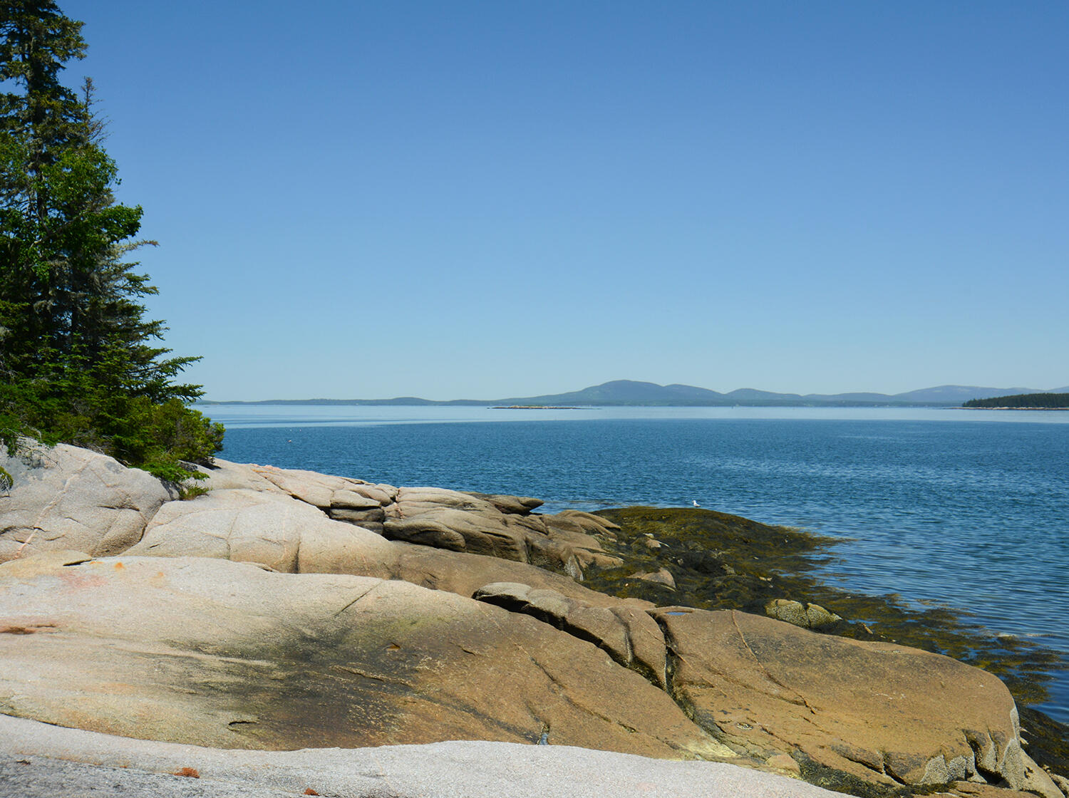 70 Island Retreat Road Swans Island, ME 04685 - Photo 31 of 35 Island Retreat Photos-4