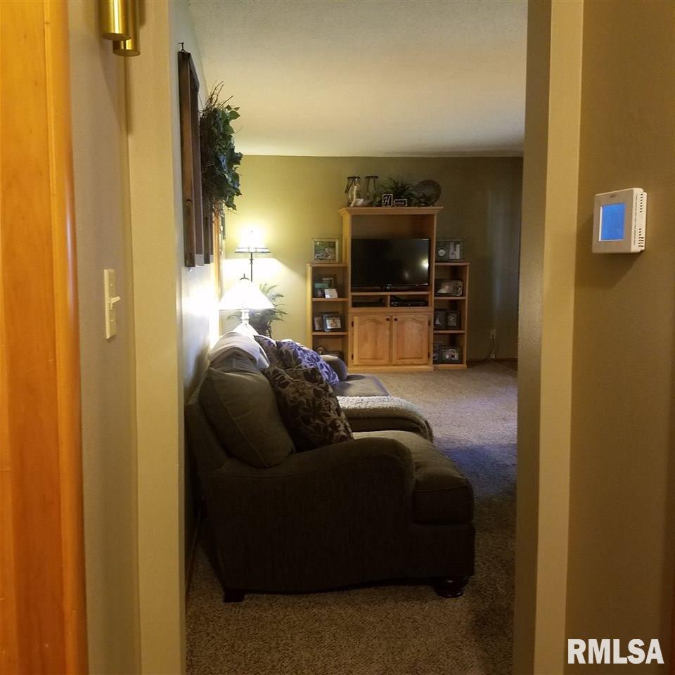 215 Wabash Avenue Carthage, IL 62321 - Photo 5 of 24