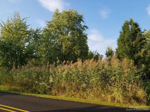 $14,700 | 7966 Kingsley Drive, Onsted, MI 49265