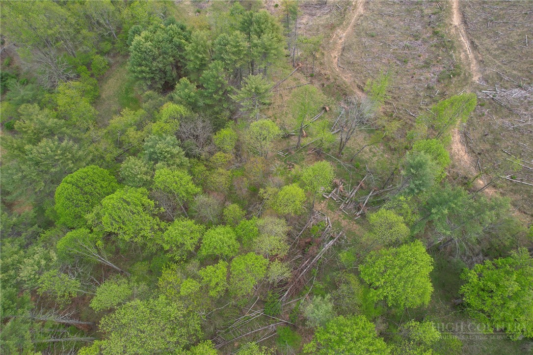 969 Allen Road Piney Creek, NC 28663 - Photo 43 of 50