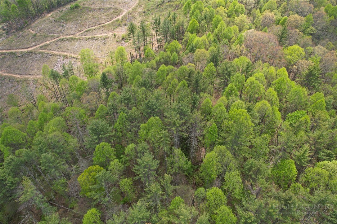969 Allen Road Piney Creek, NC 28663 - Photo 45 of 50