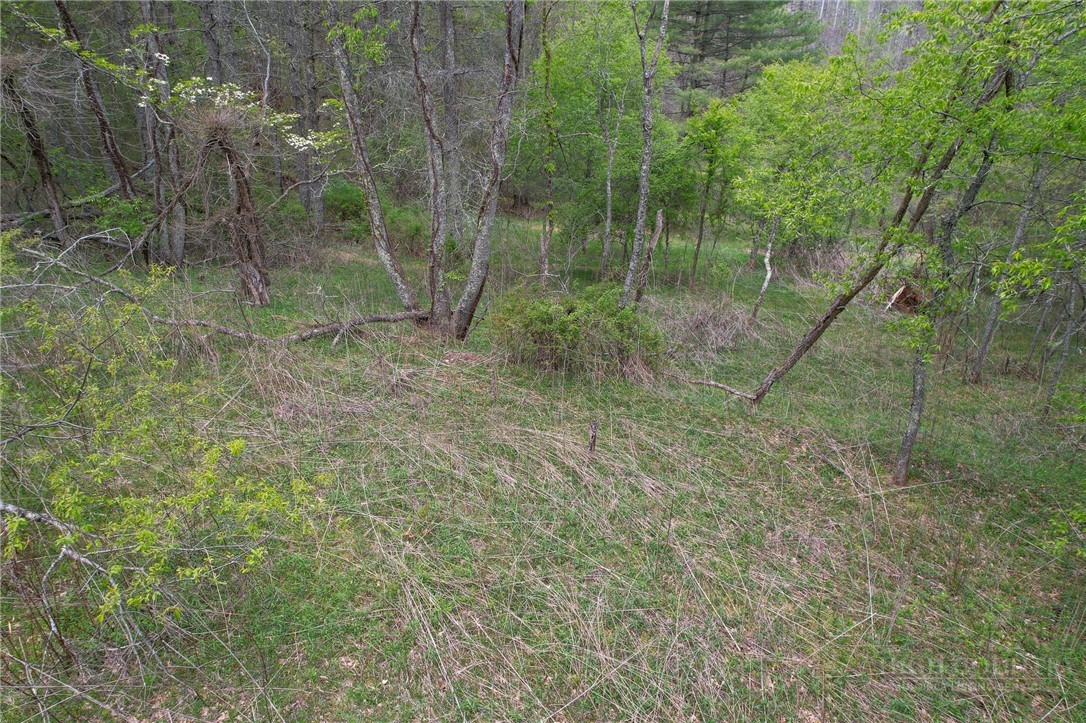969 Allen Road Piney Creek, NC 28663 - Photo 46 of 50
