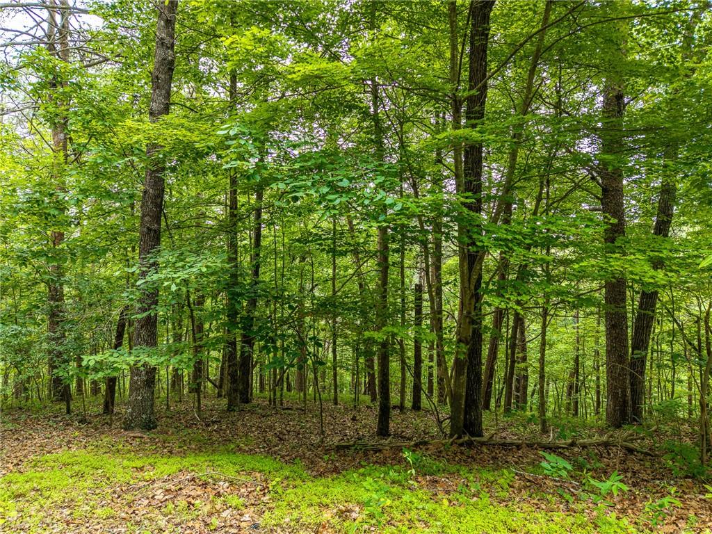 1332 Birch Lane Ranger, GA 30734 - Photo 8 of 48