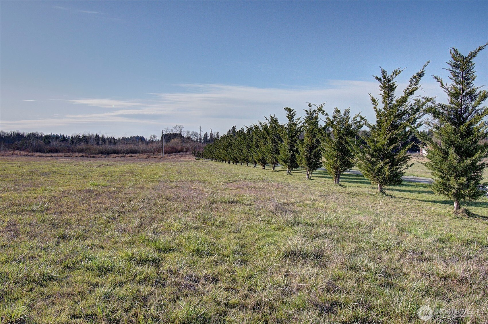 0 Northeast 29th Avenue Ridgefield, WA 98642 - Photo 6 of 10