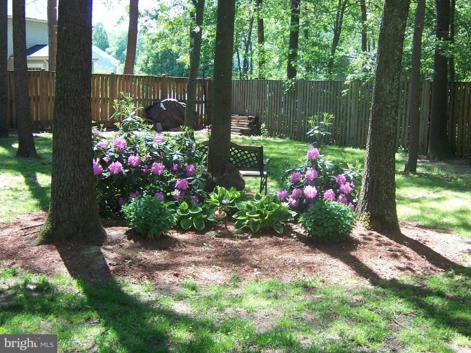204 Burns Crossing Road Severn, MD 21144 - Photo 24 of 30 a view of a garden with flowers