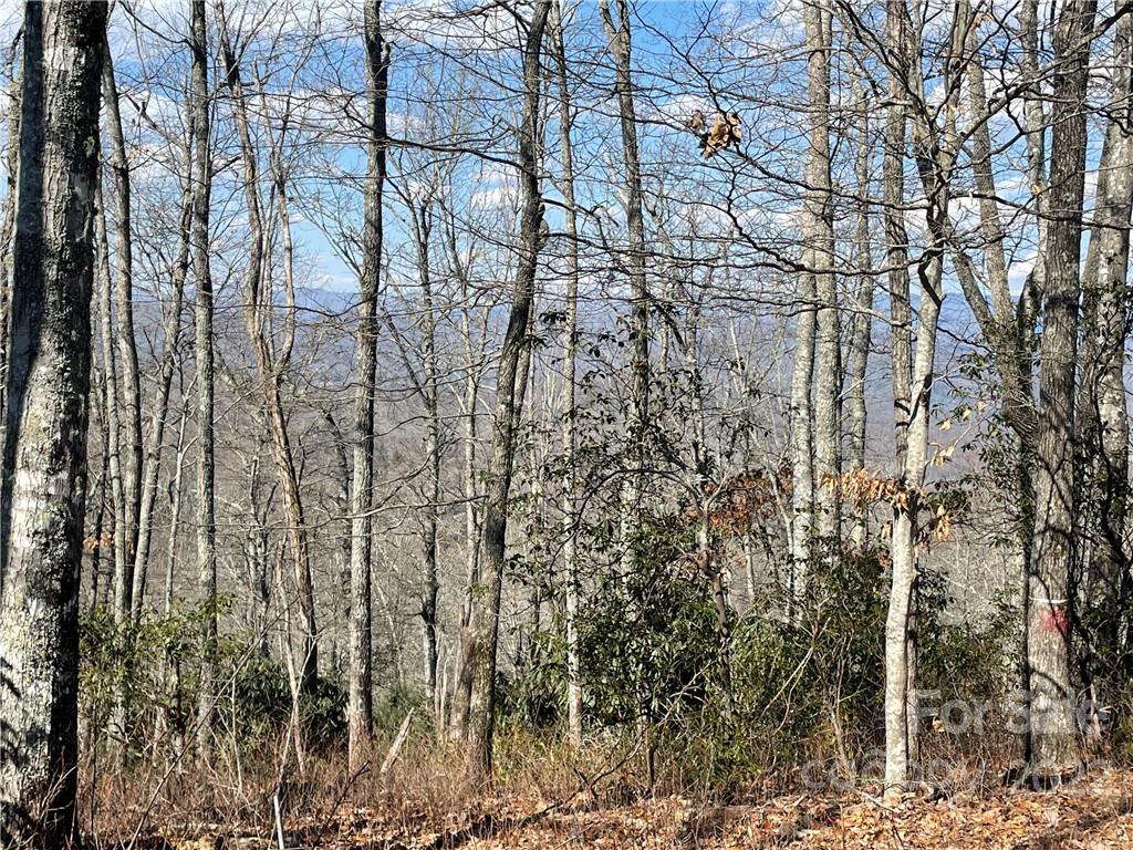 41 Pepperbush Road Brevard, NC 28712 - Photo 2 of 10 Gallery Image 2