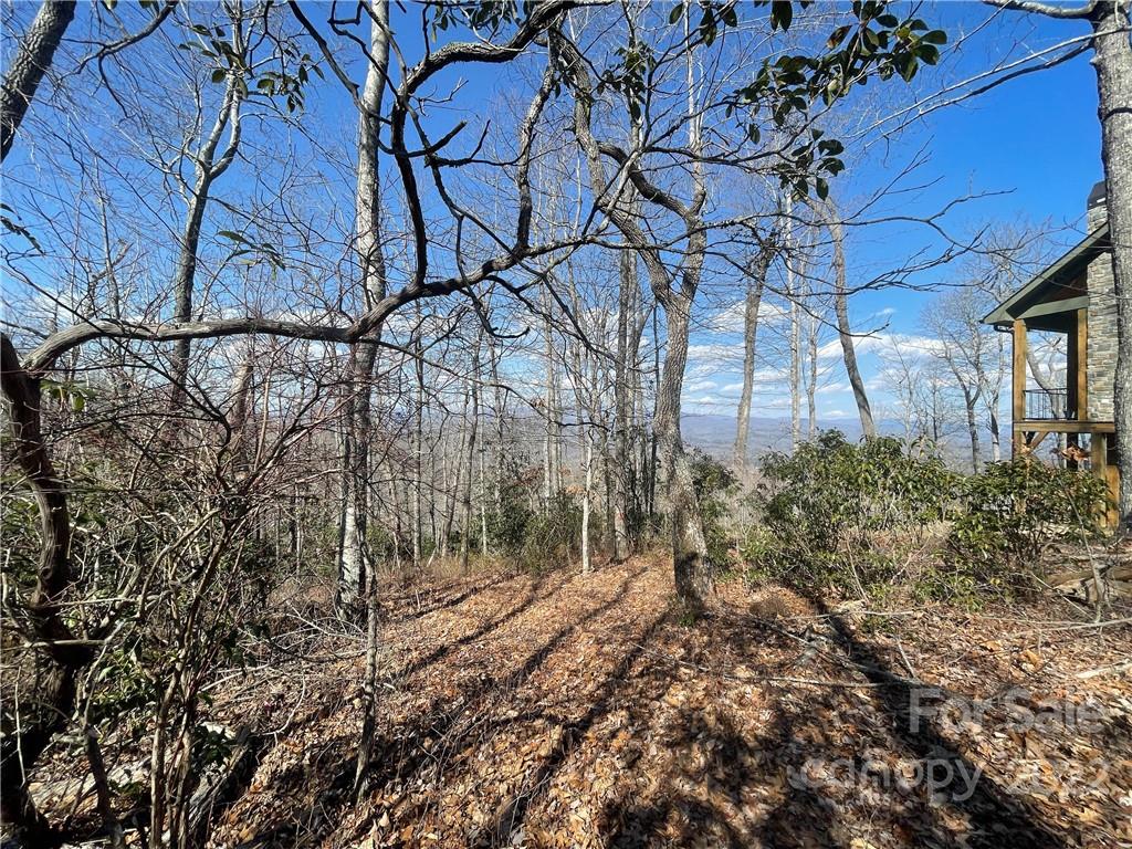 41 Pepperbush Road Brevard, NC 28712 - Photo 3 of 10 Gallery Image 3